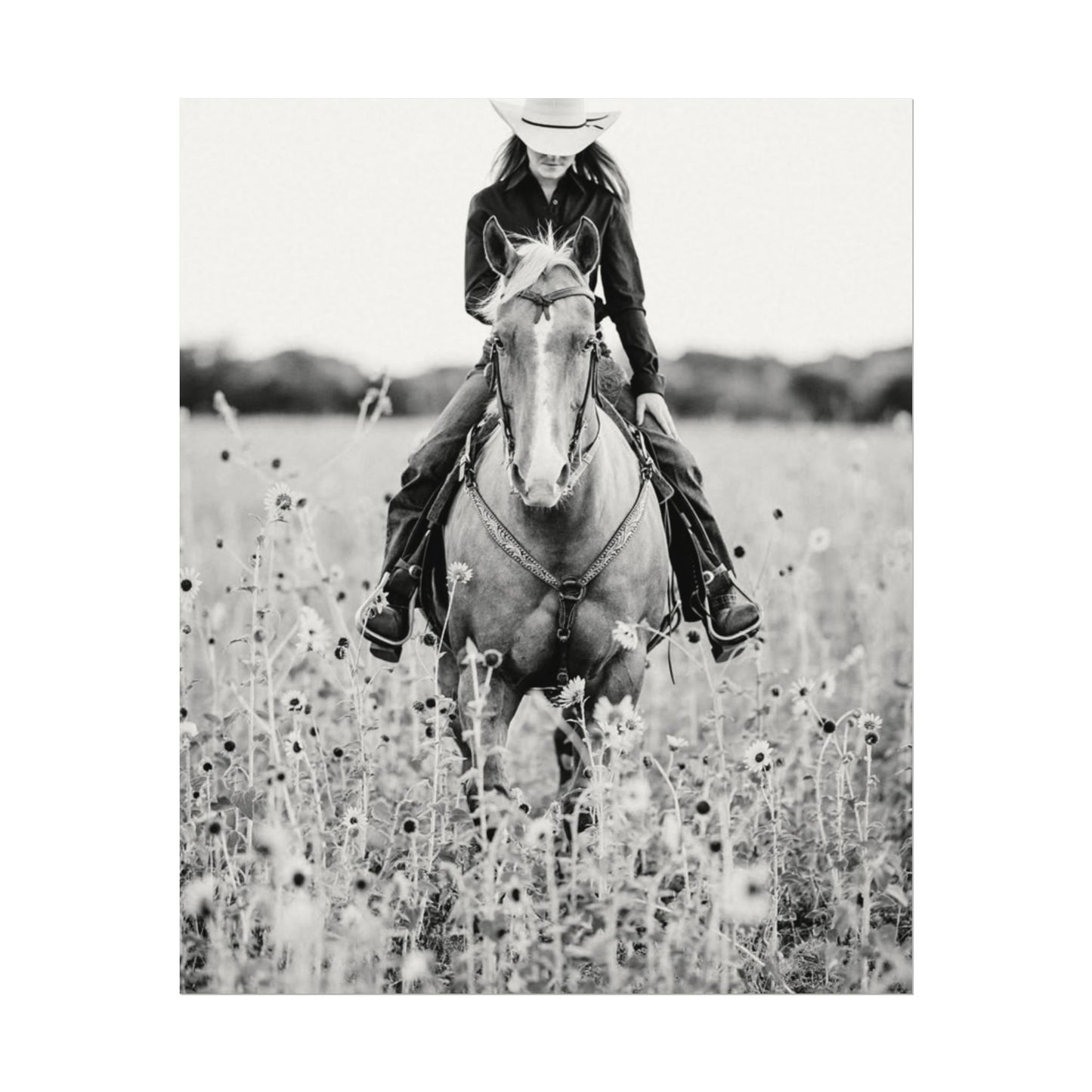 Summer Fields – Western Textured Watercolor Matte Posters