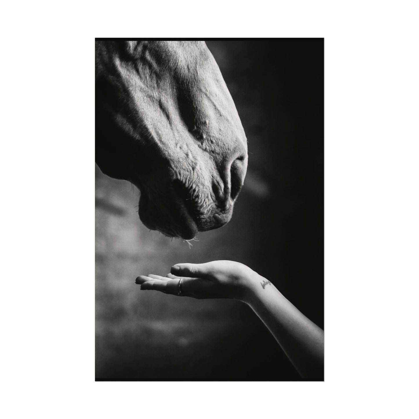 Whisper of Trust— The Unspoken Bond Textured Watercolor Matte Posters