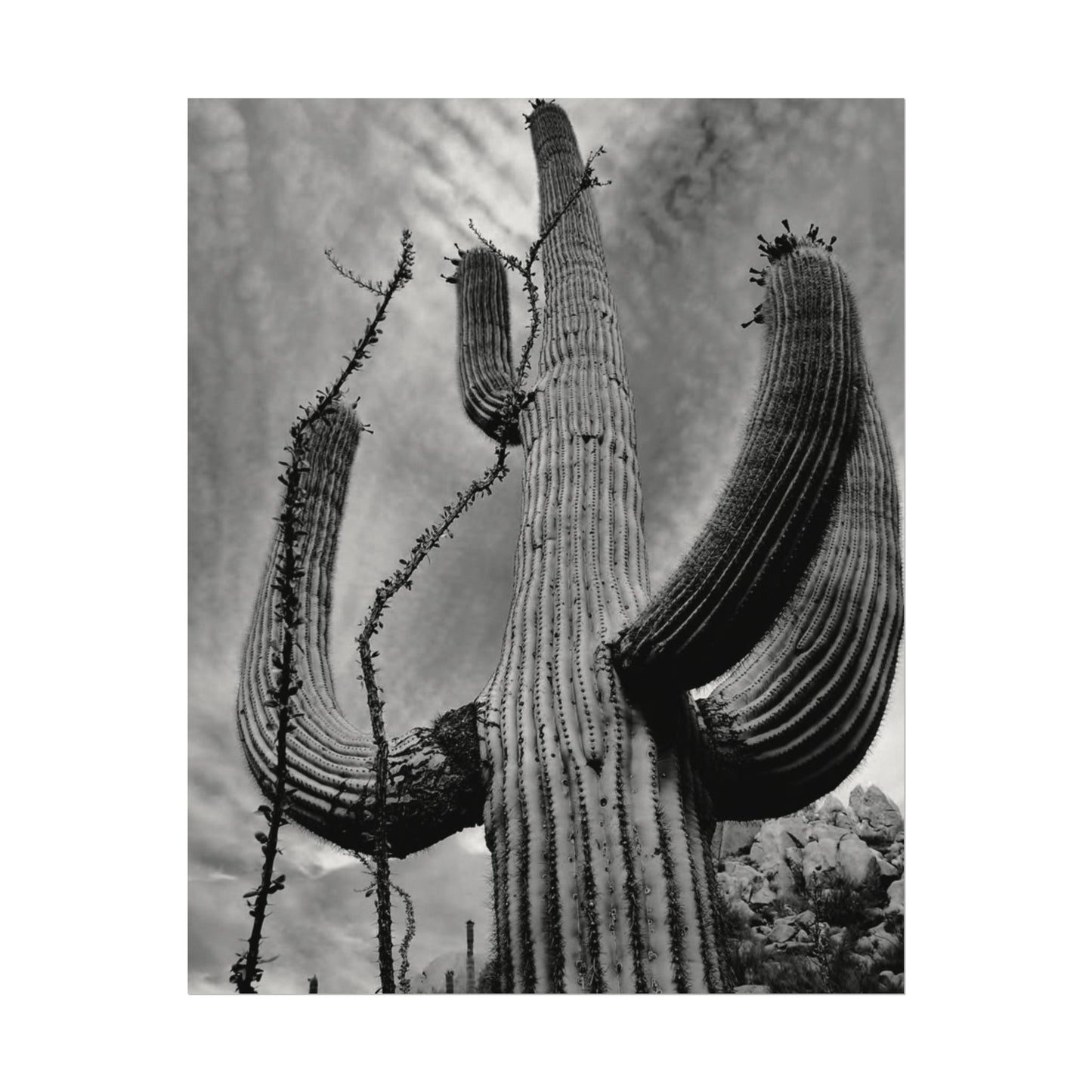 Desert Heights – Western Textured Watercolor Matte Posters