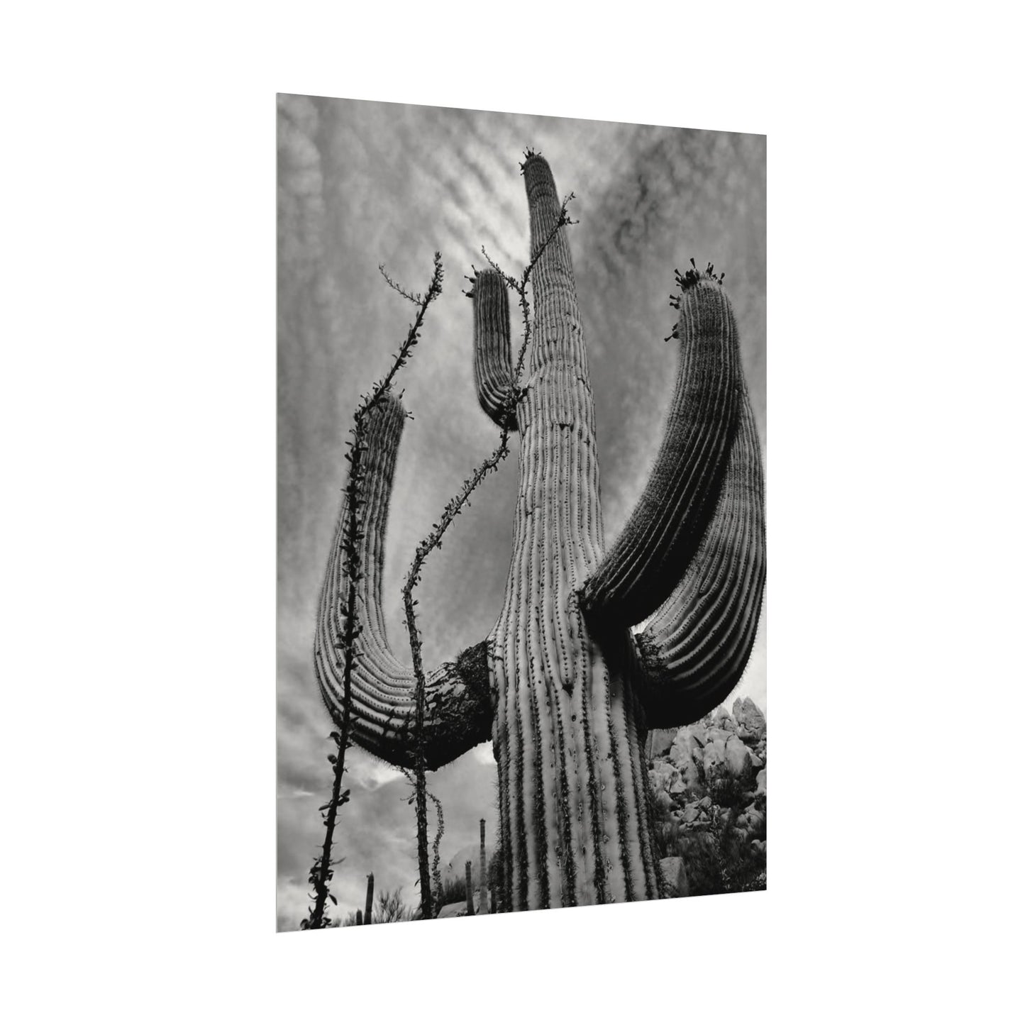 Desert Heights – Western Textured Watercolor Matte Posters