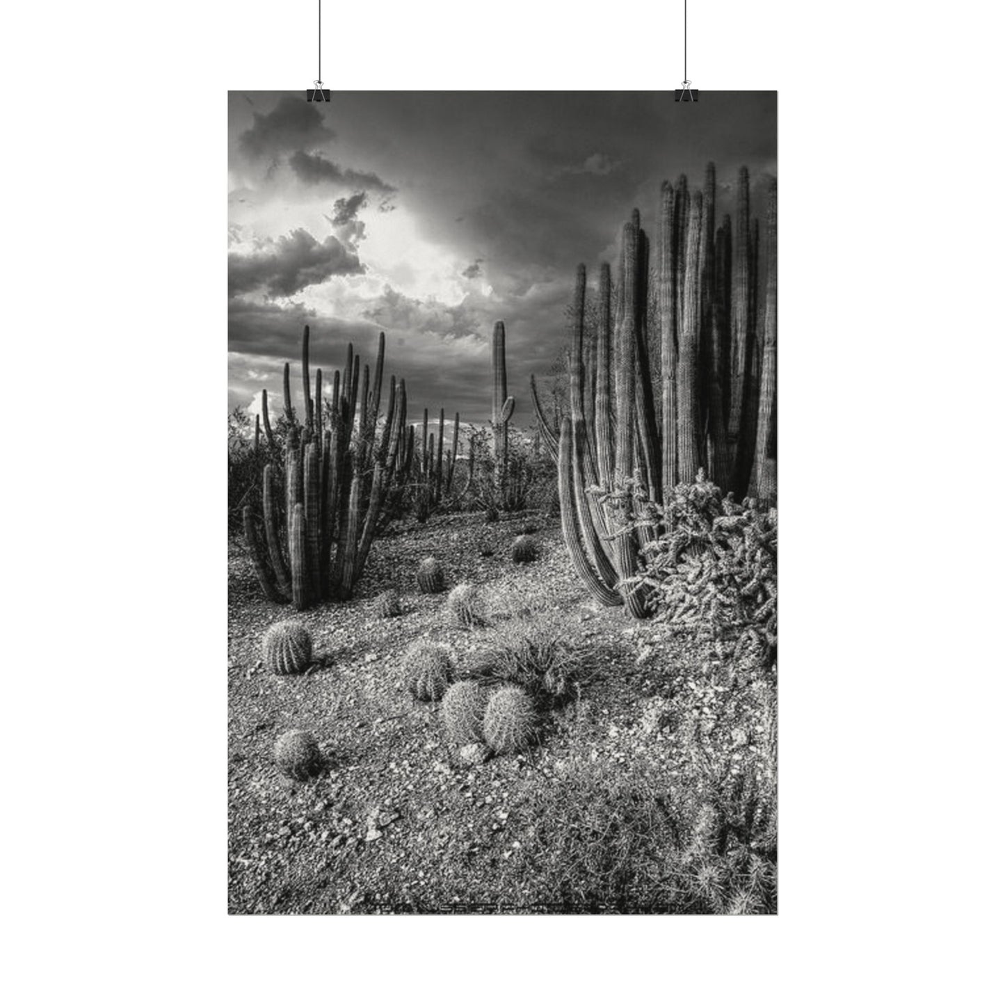 Desert Wastelands – Western Textured Watercolor Matte Posters