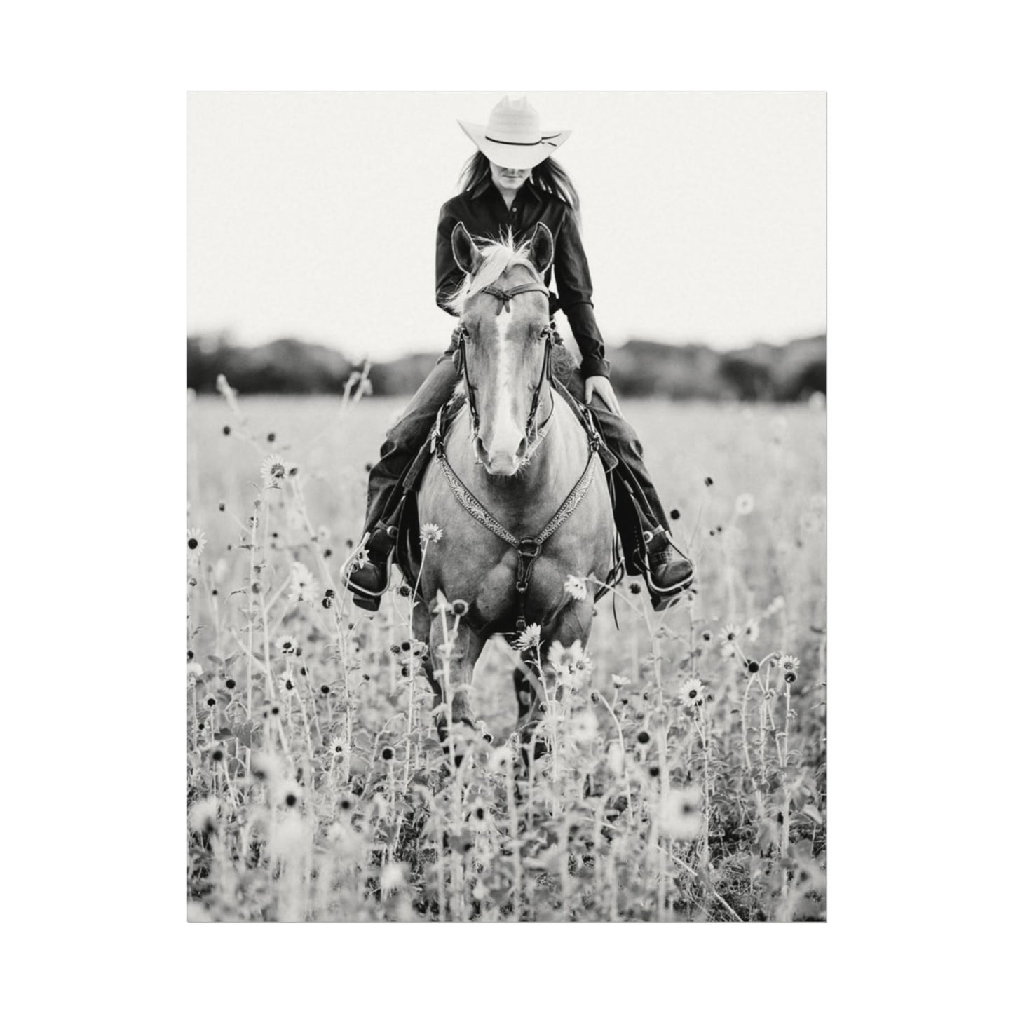 Summer Fields – Western Textured Watercolor Matte Posters