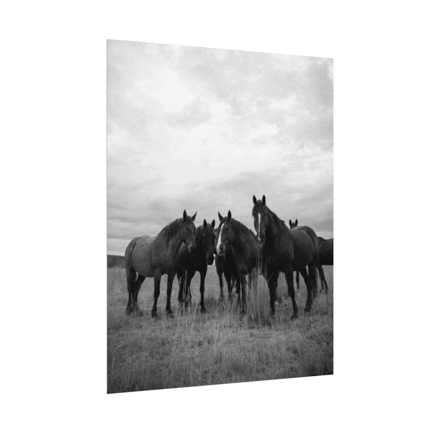 Unity In Numbers – Western Textured Watercolor Matte Posters