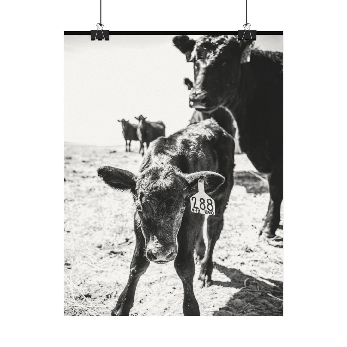 The Standing Legacy – Western Textured Watercolor Matte Posters