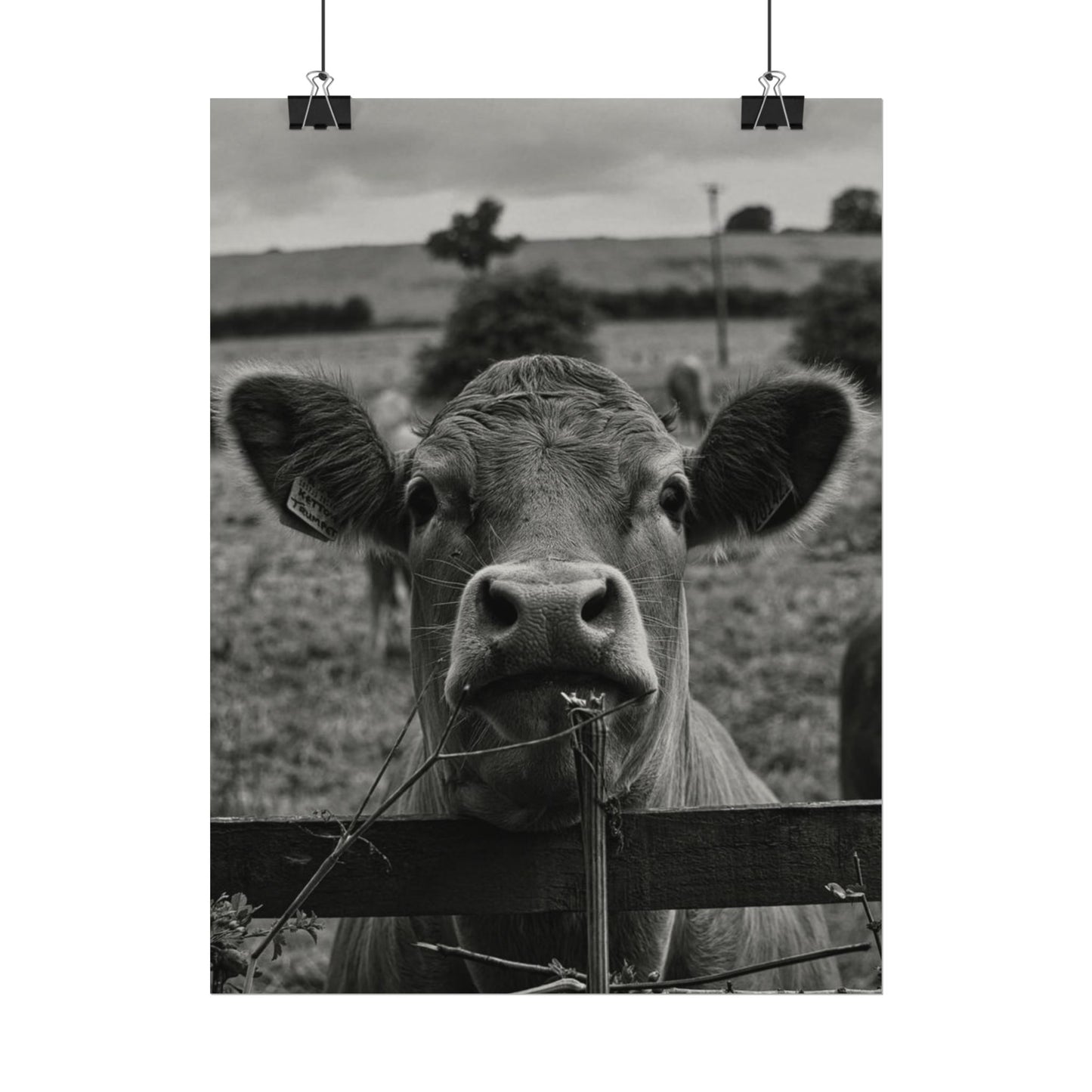 Rise & Shine – Western Textured Watercolor Matte Posters