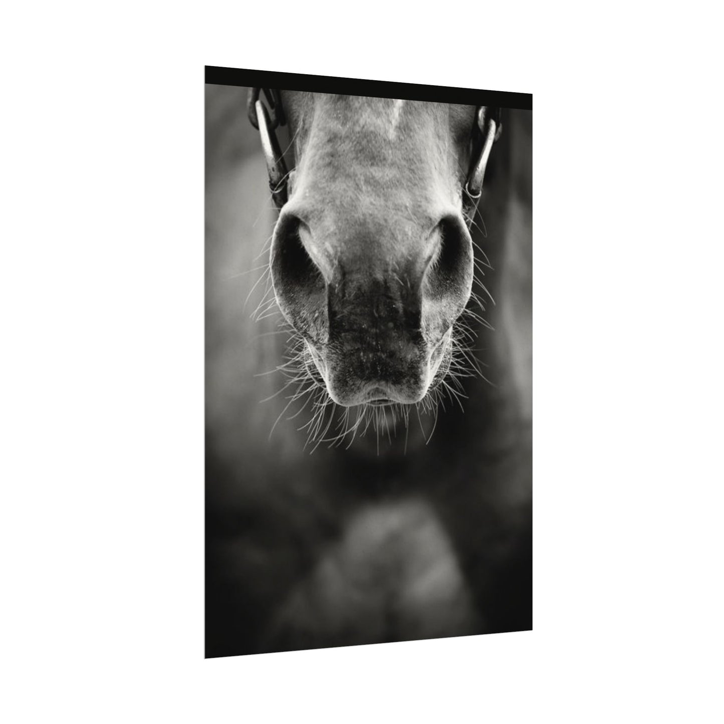 Be Patient Be Still – Western Textured Watercolor Matte Posters