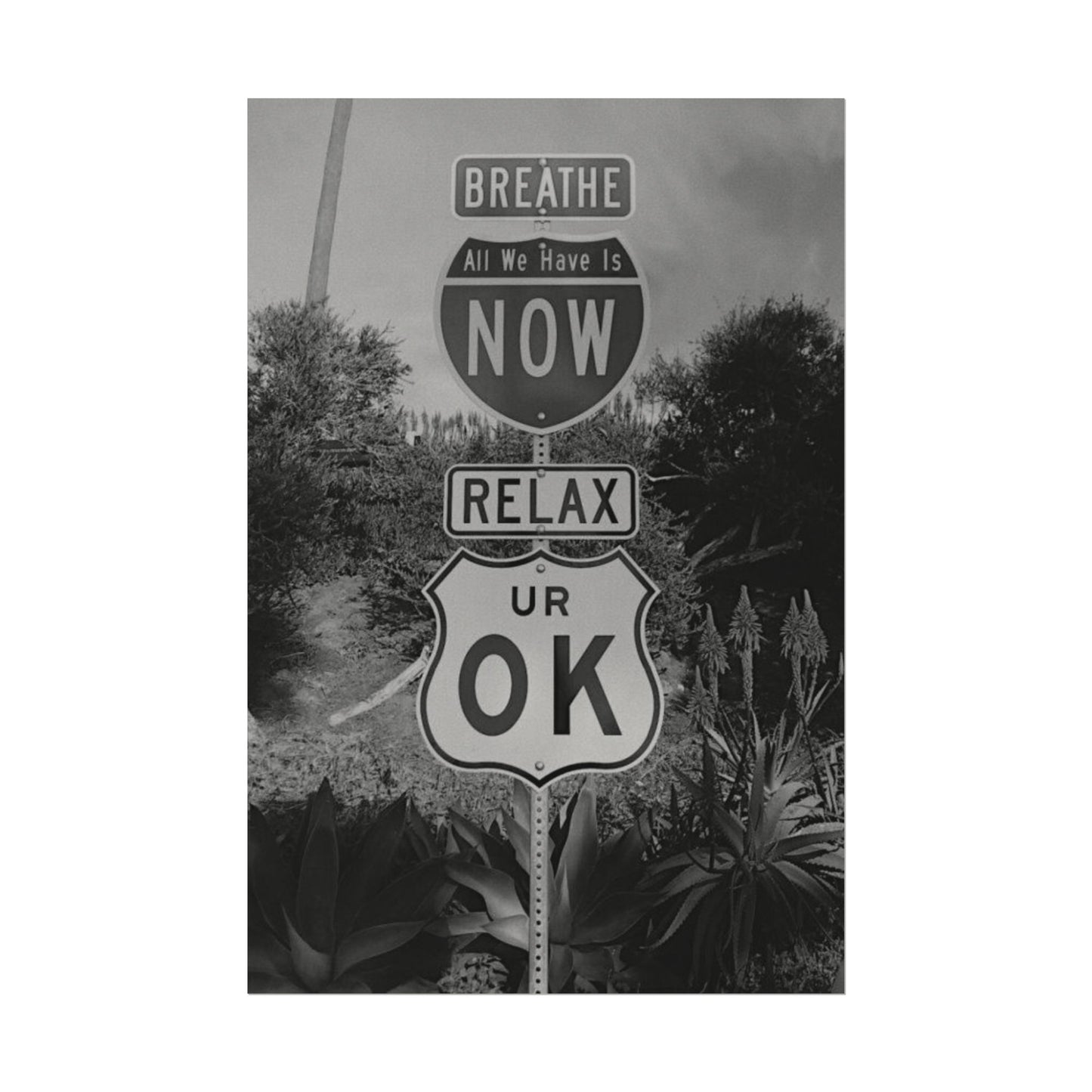 Here's Your Sign Textured Desert Watercolor Matte Posters