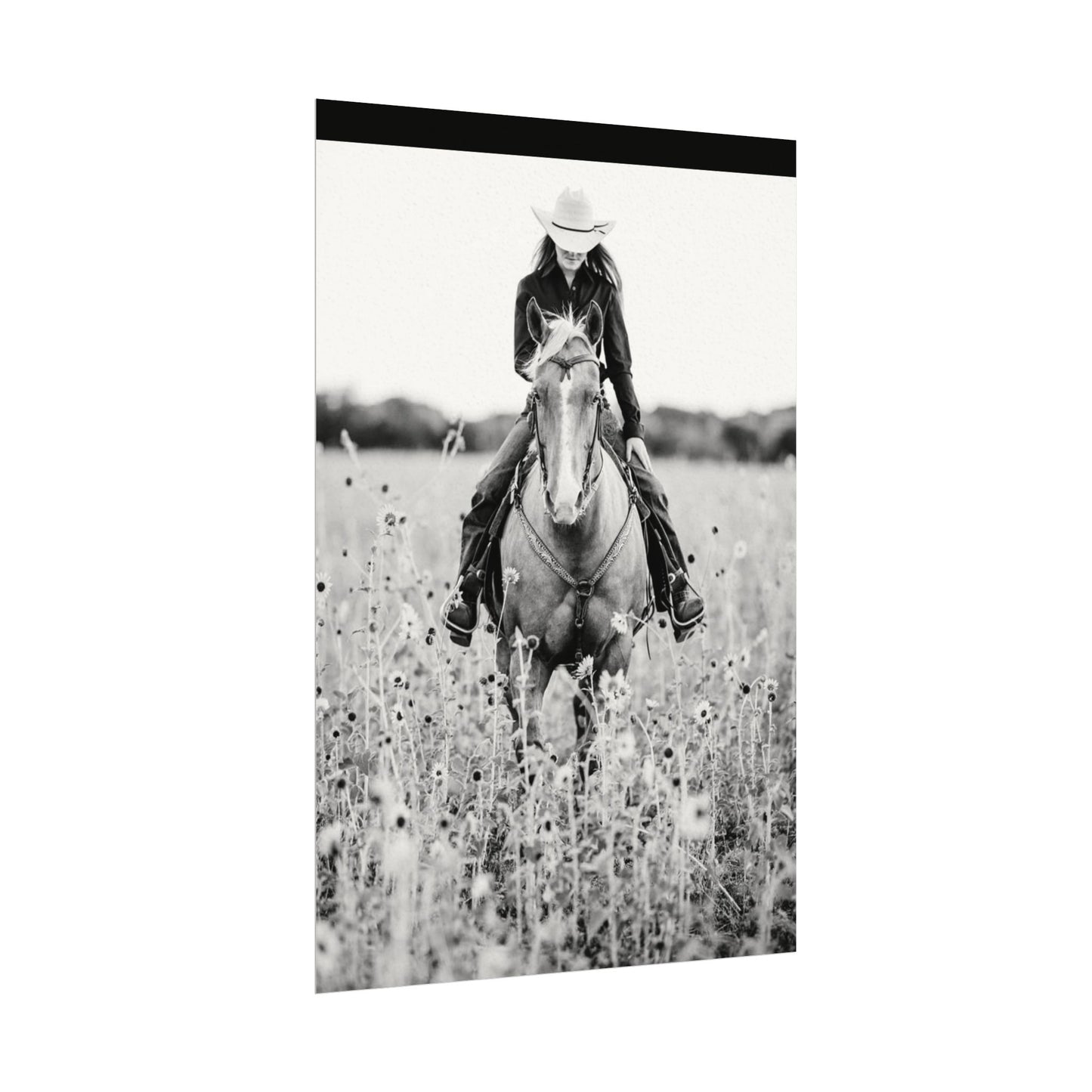 Summer Fields – Western Textured Watercolor Matte Posters