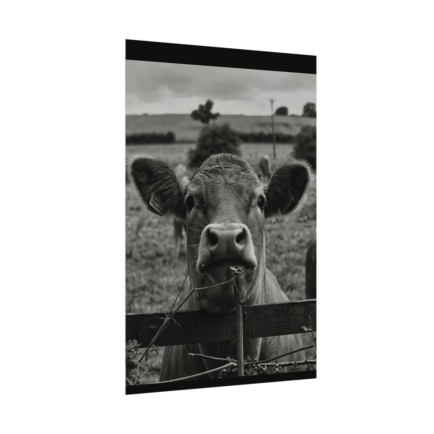 Rise & Shine – Western Textured Watercolor Matte Posters