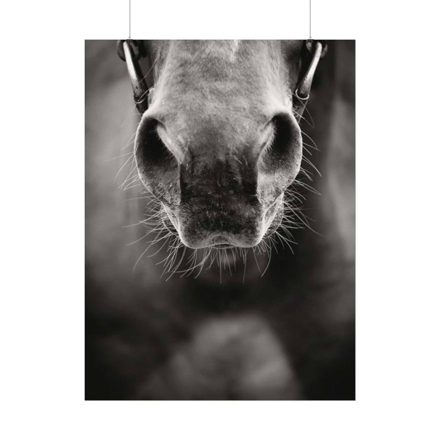 Be Patient Be Still – Western Textured Watercolor Matte Posters