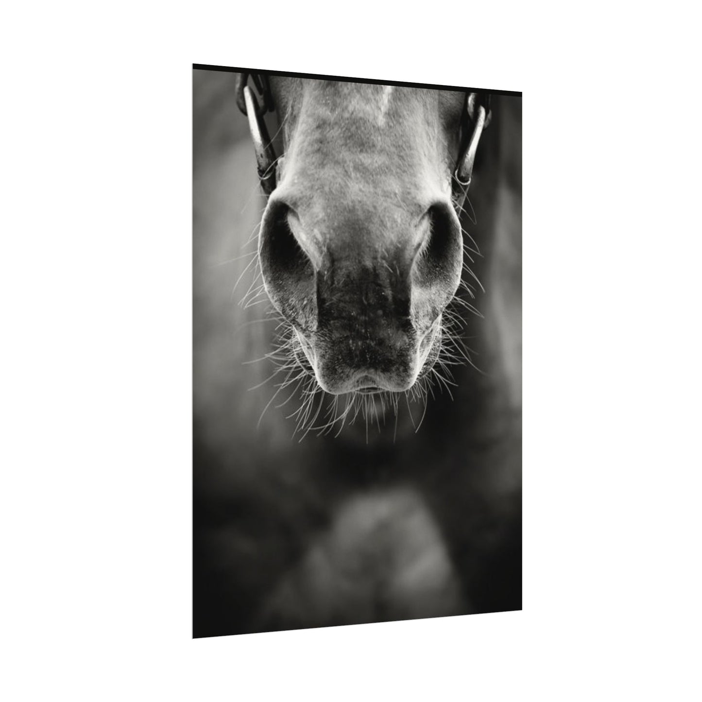 Be Patient Be Still – Western Textured Watercolor Matte Posters