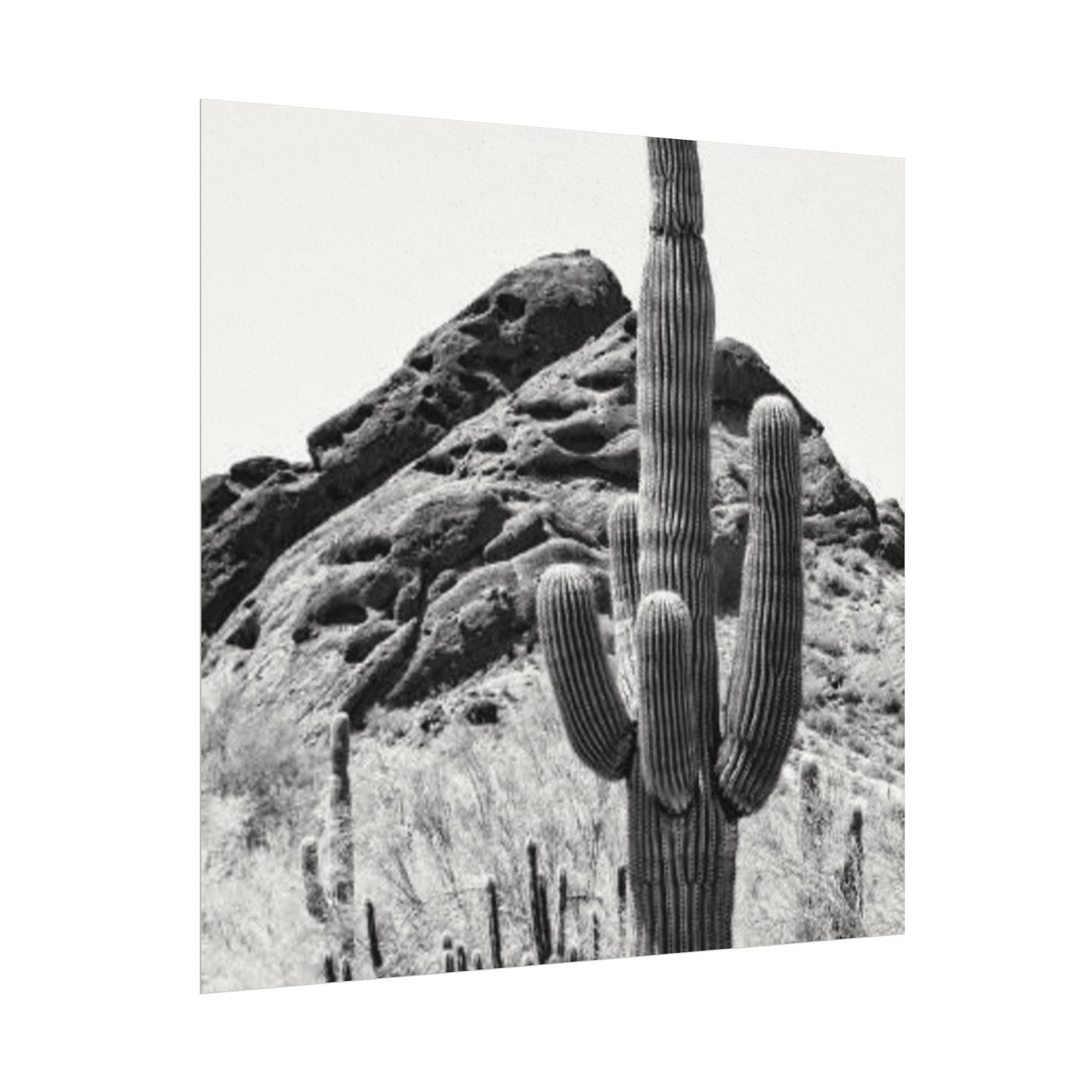 Reach For The Sky – Western Textured Watercolor Matte Posters