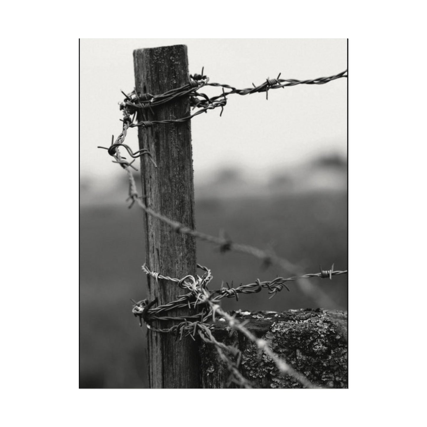 Tough As Nails – Western Textured Watercolor Matte Posters