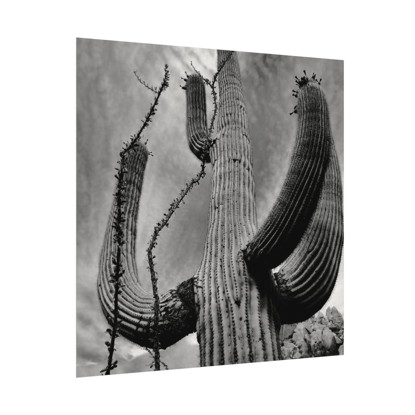 Desert Heights – Western Textured Watercolor Matte Posters