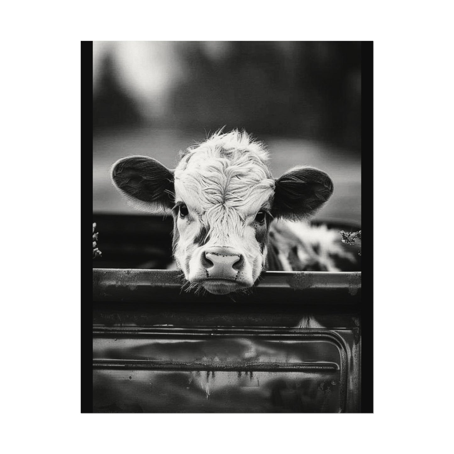 Back Seat Bovine – Western Textured Watercolor Matte Posters