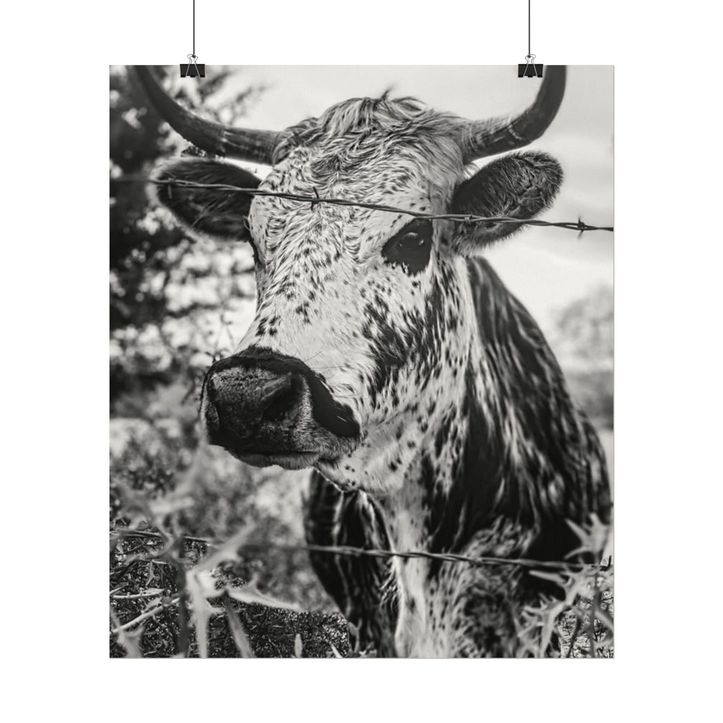 Barbed & Brave Western Textured Watercolor Matte Posters