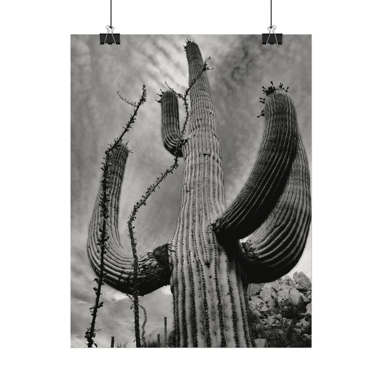 Desert Heights – Western Textured Watercolor Matte Posters