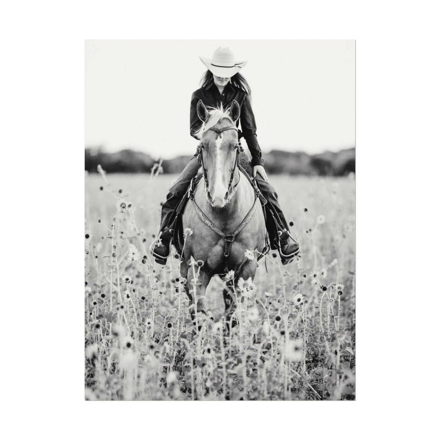 Summer Fields – Western Textured Watercolor Matte Posters