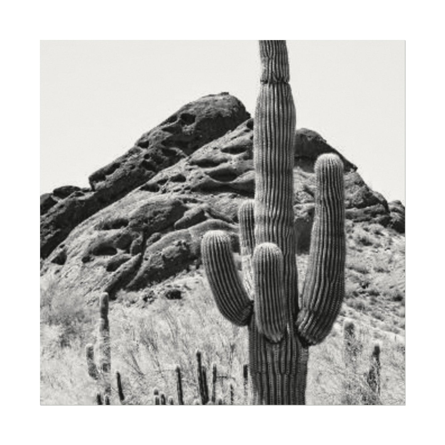 Reach For The Sky – Western Textured Watercolor Matte Posters