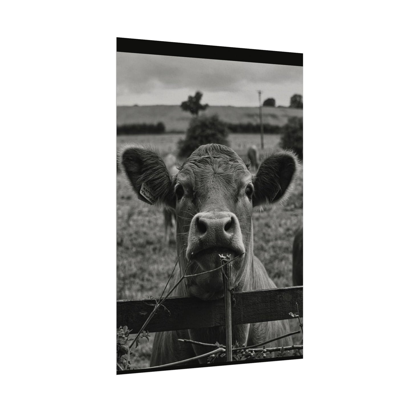 Rise & Shine – Western Textured Watercolor Matte Posters