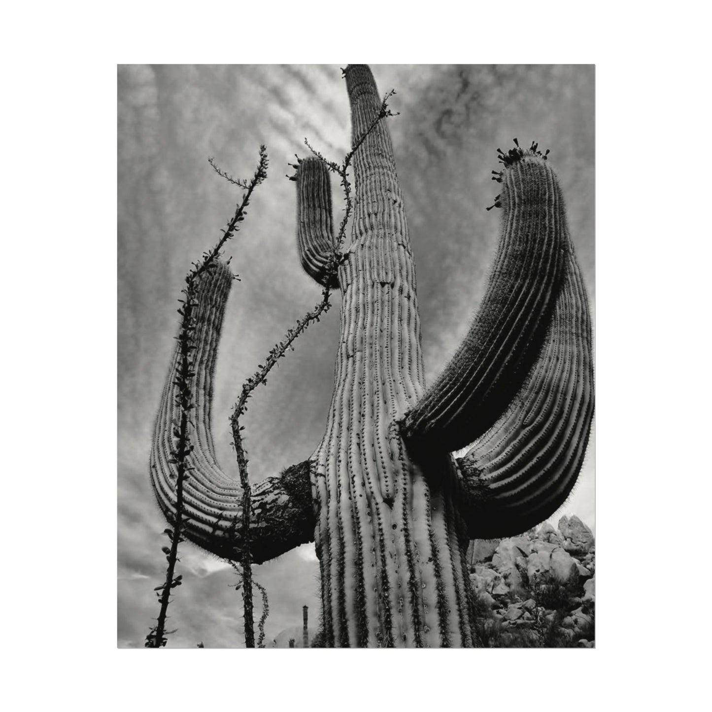 Desert Heights – Western Textured Watercolor Matte Posters