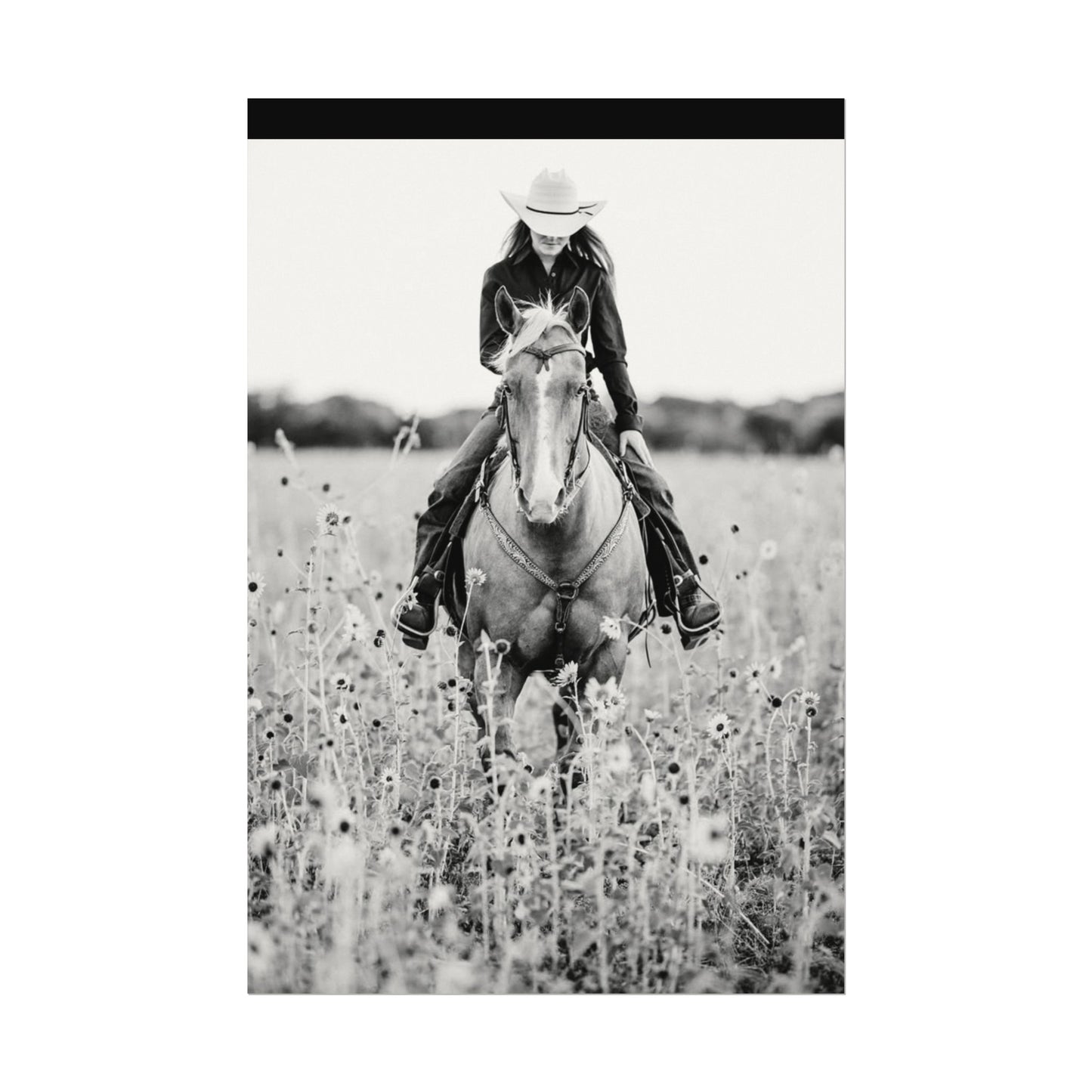 Summer Fields – Western Textured Watercolor Matte Posters