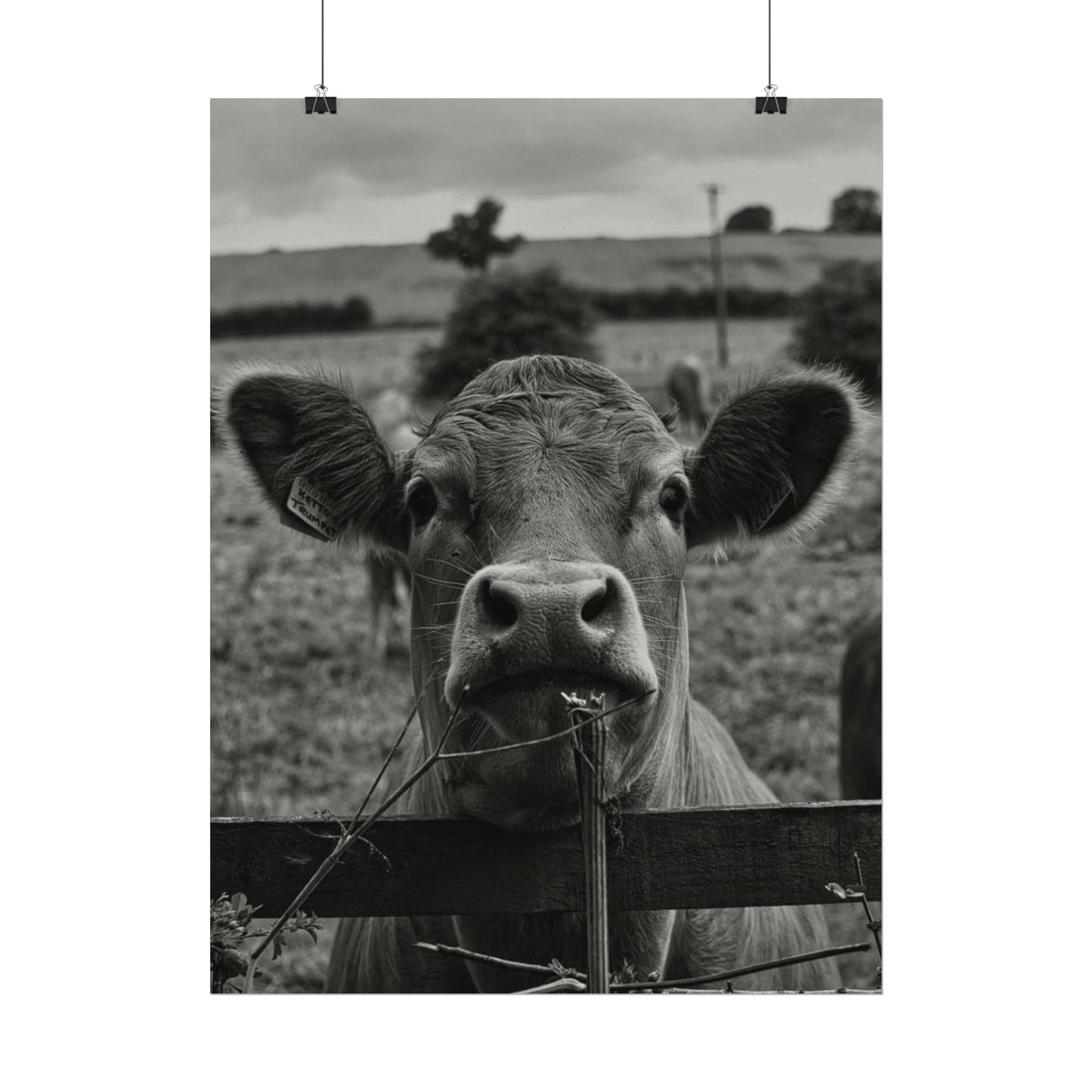 Rise & Shine – Western Textured Watercolor Matte Posters