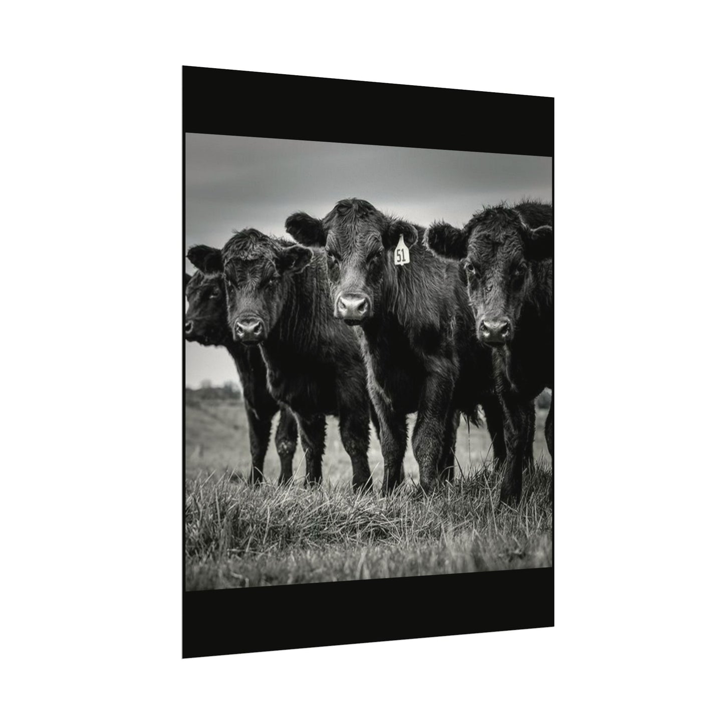 The Grazing Crew – Western Textured Watercolor Matte Posters