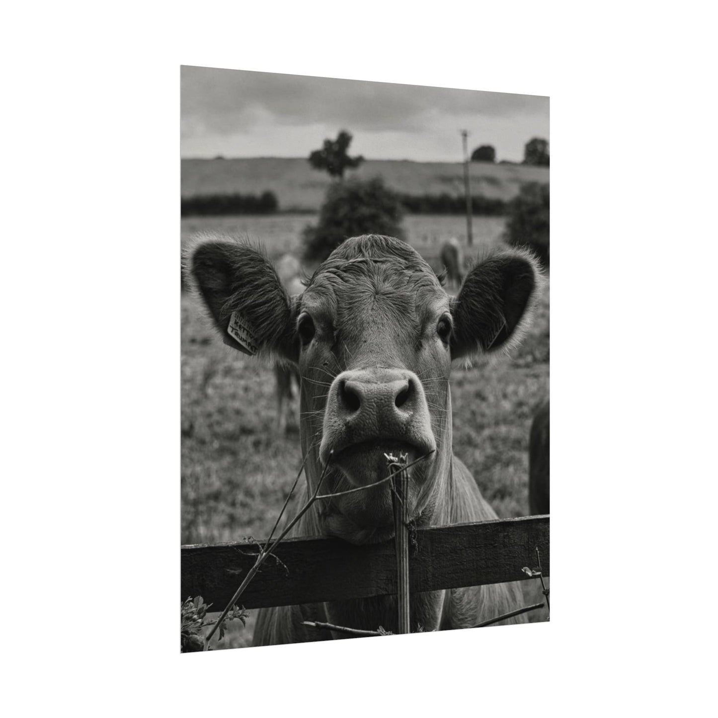 Rise & Shine – Western Textured Watercolor Matte Posters