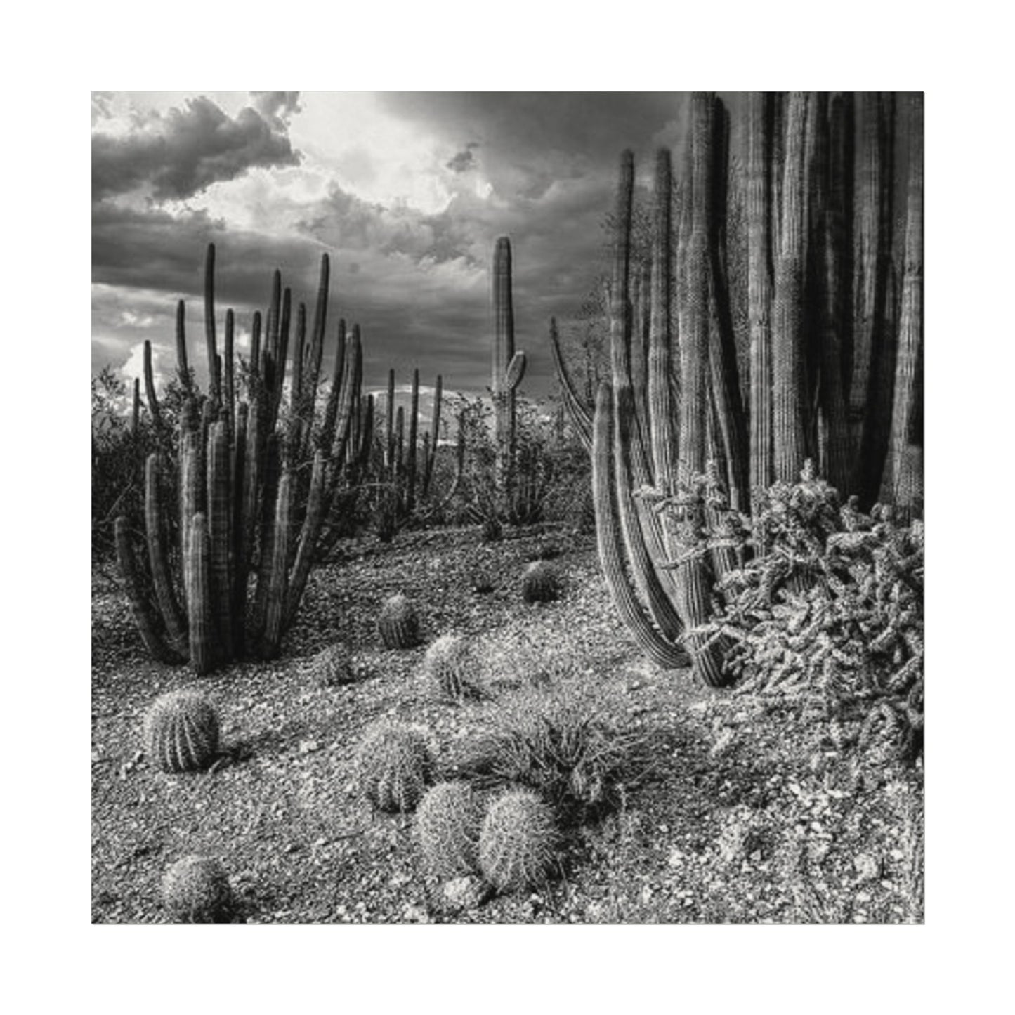 Desert Wastelands – Western Textured Watercolor Matte Posters