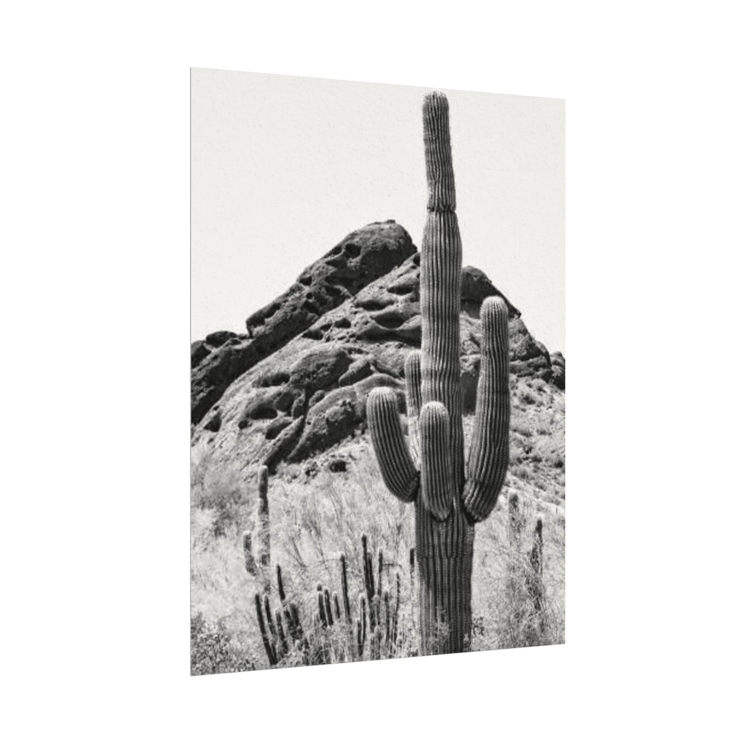 Reach For The Sky – Western Textured Watercolor Matte Posters