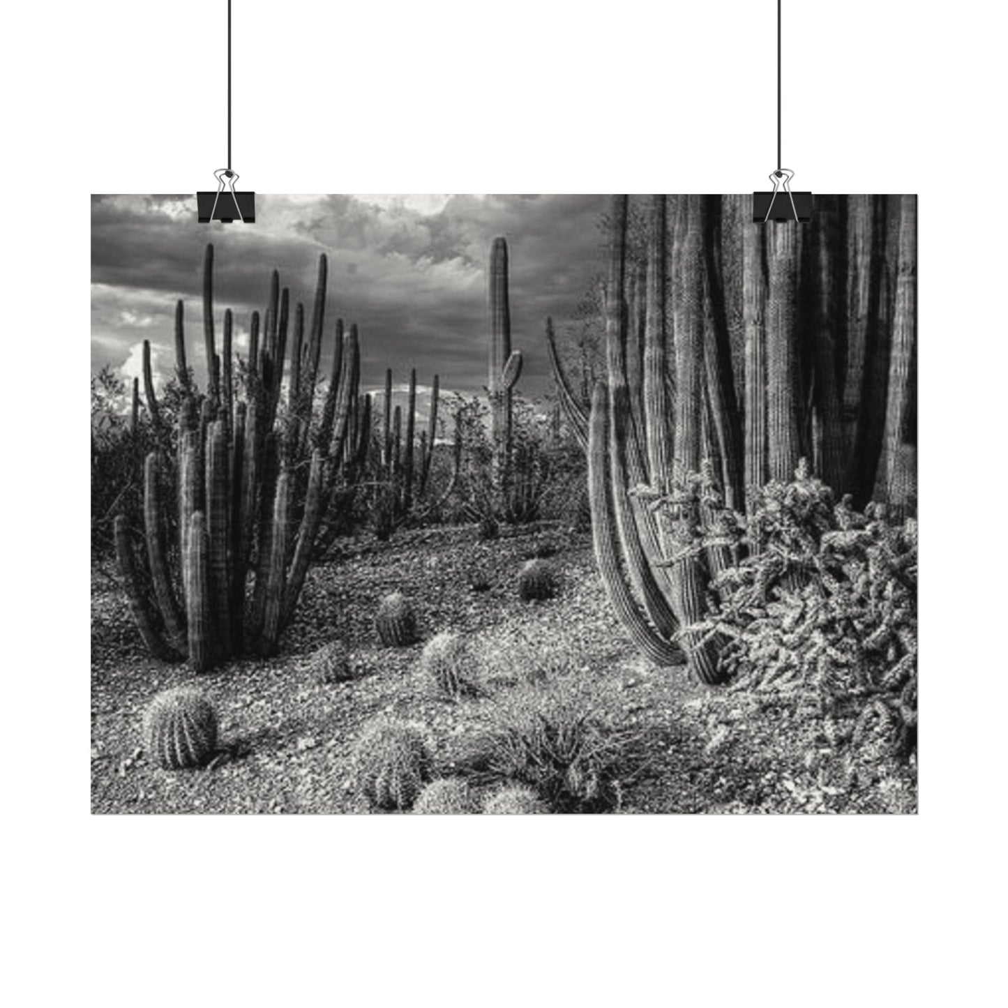 Desert Wastelands – Western Textured Watercolor Matte Posters