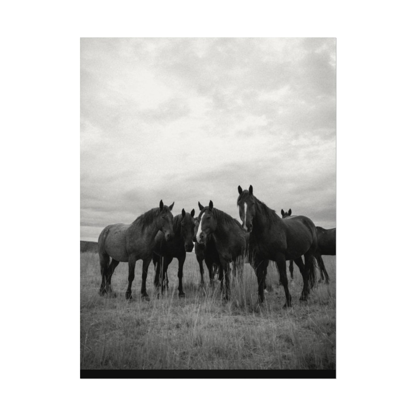 Unity In Numbers – Western Textured Watercolor Matte Posters