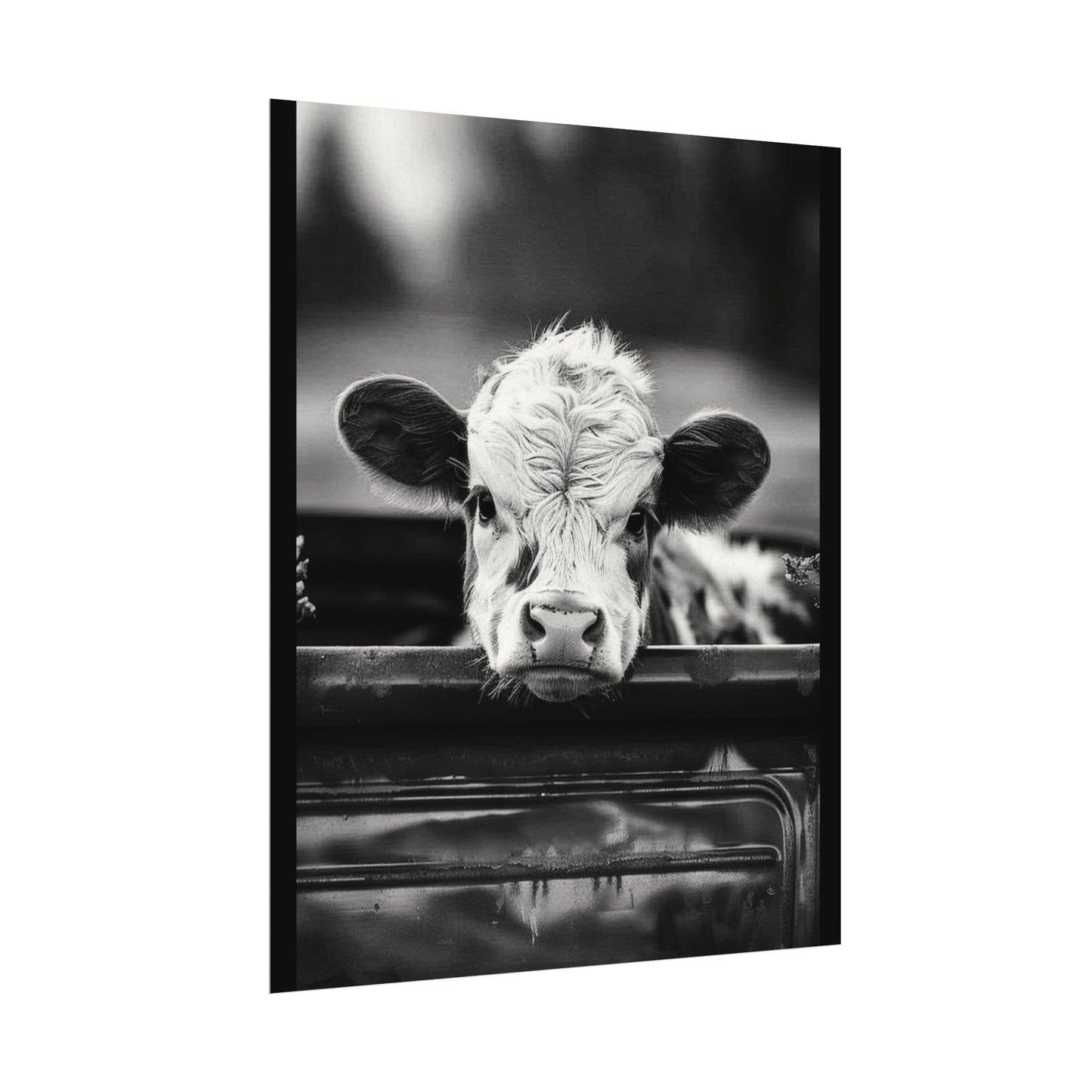 Back Seat Bovine – Western Textured Watercolor Matte Posters