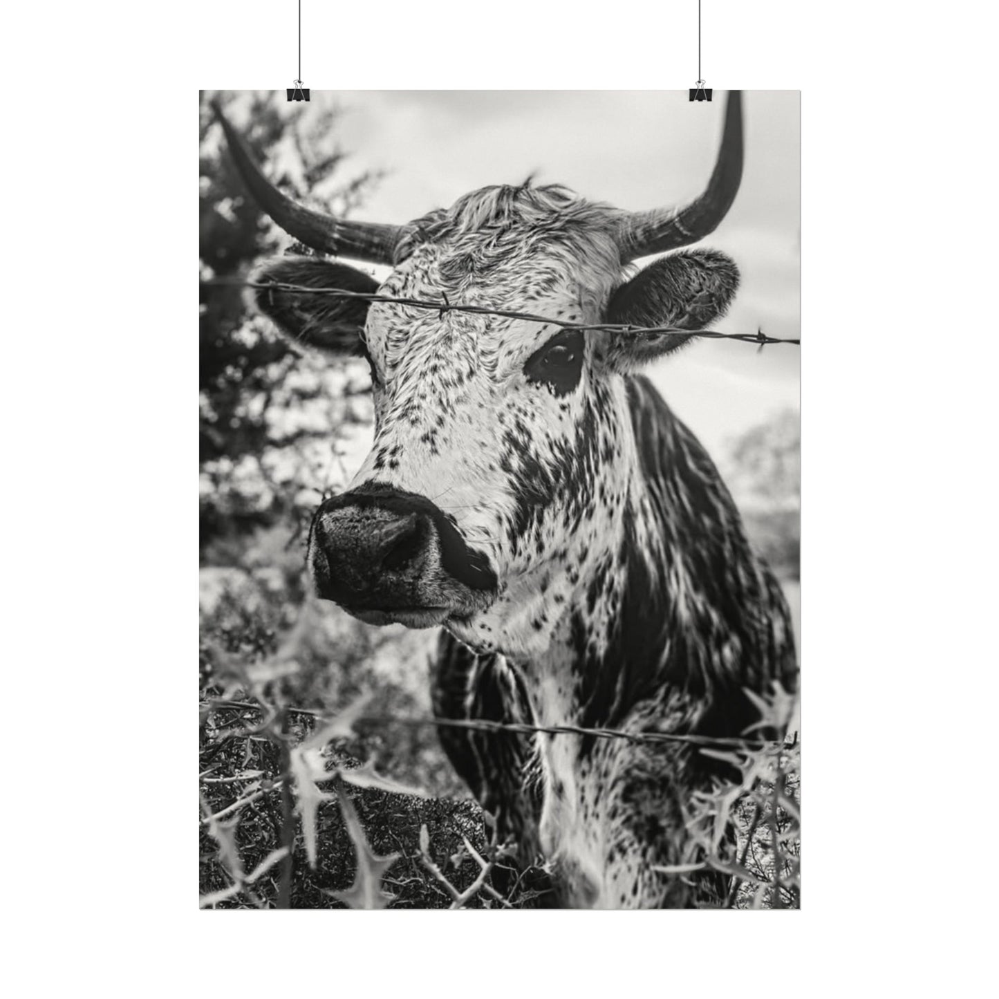 Barbed & Brave Western Textured Watercolor Matte Posters