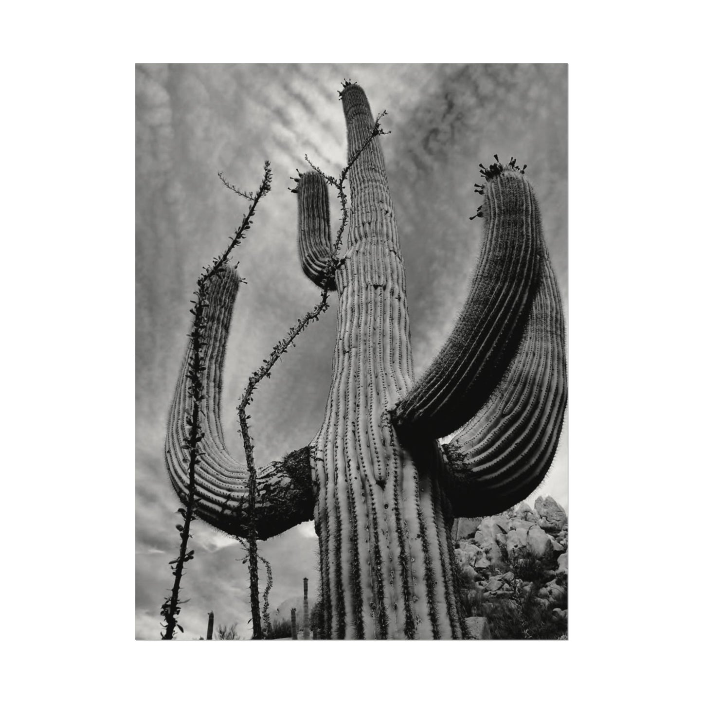 Desert Heights – Western Textured Watercolor Matte Posters