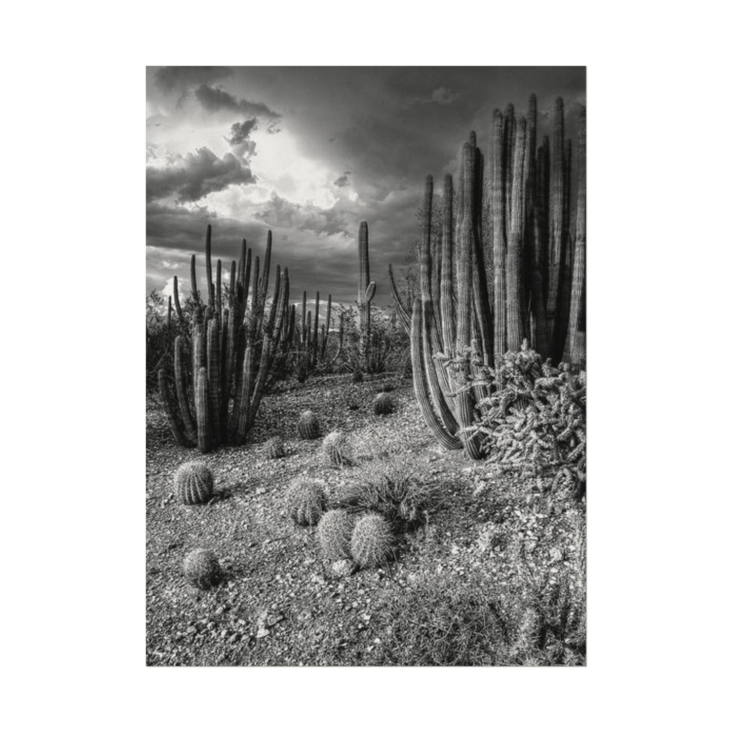 Desert Wastelands – Western Textured Watercolor Matte Posters