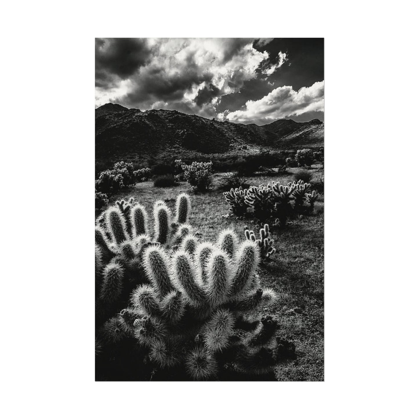 Western Desert Textured Watercolor Matte Posters