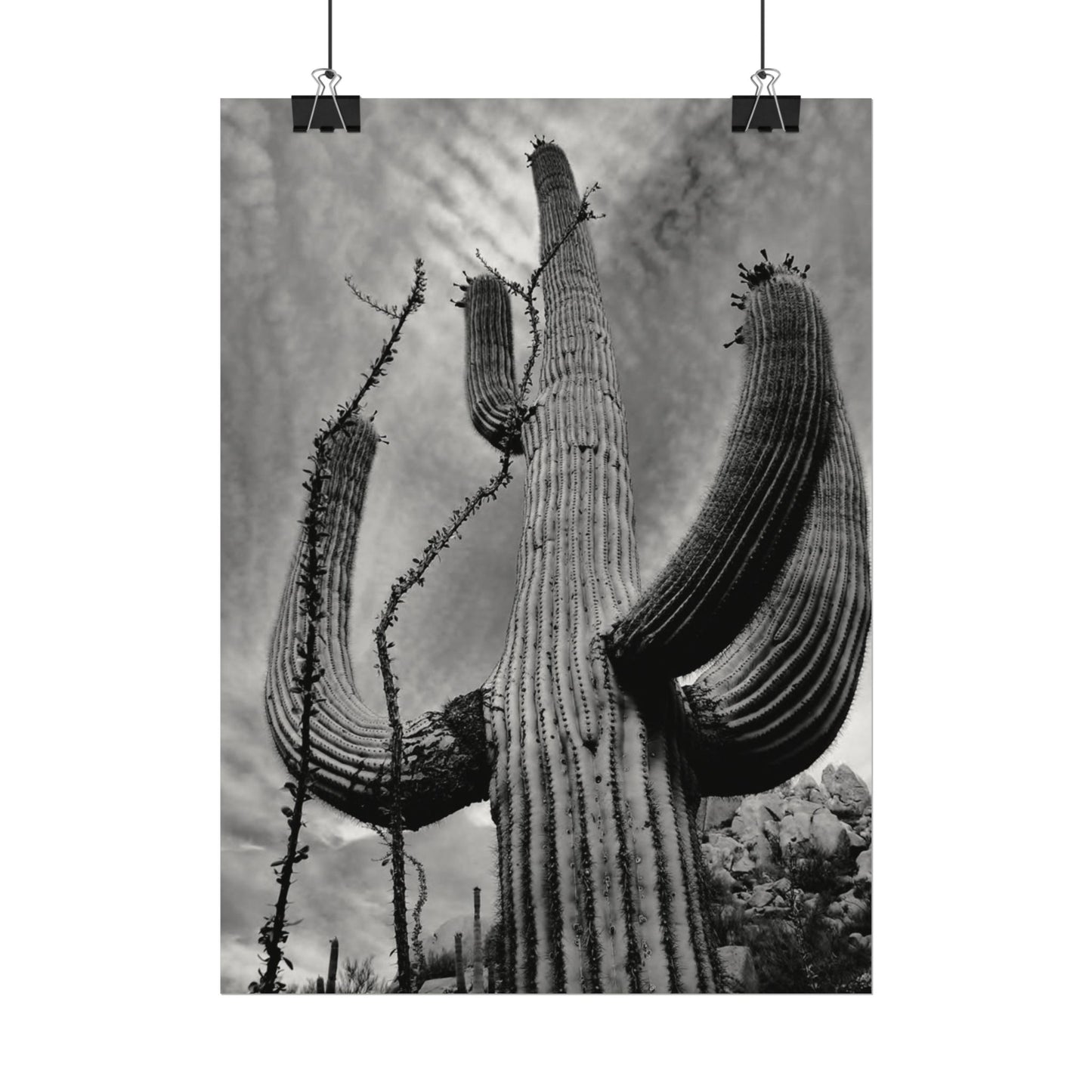 Desert Heights – Western Textured Watercolor Matte Posters