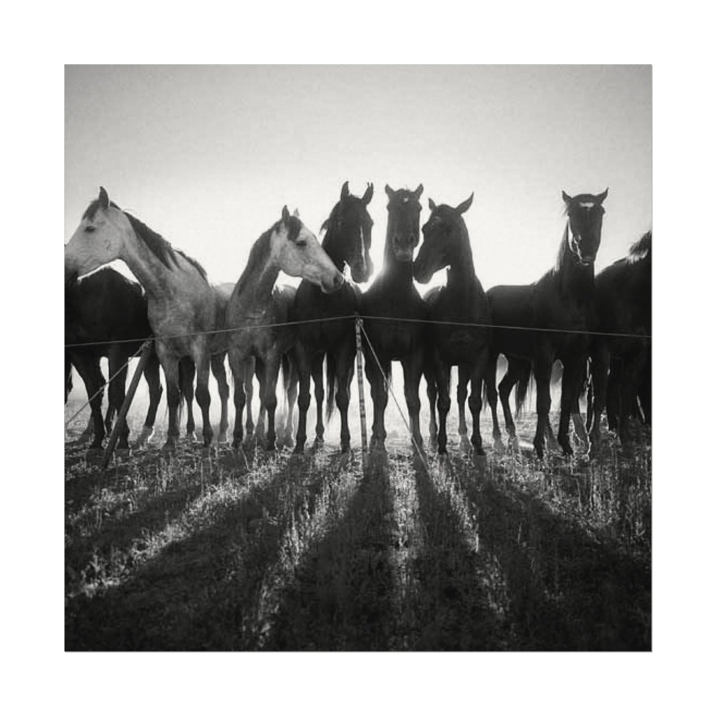 When Dawn Breaks – Western Textured Watercolor Matte Posters