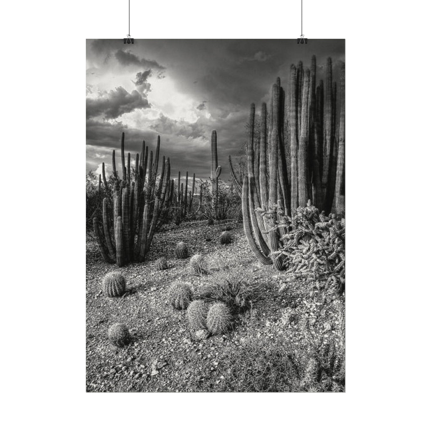 Desert Wastelands – Western Textured Watercolor Matte Posters