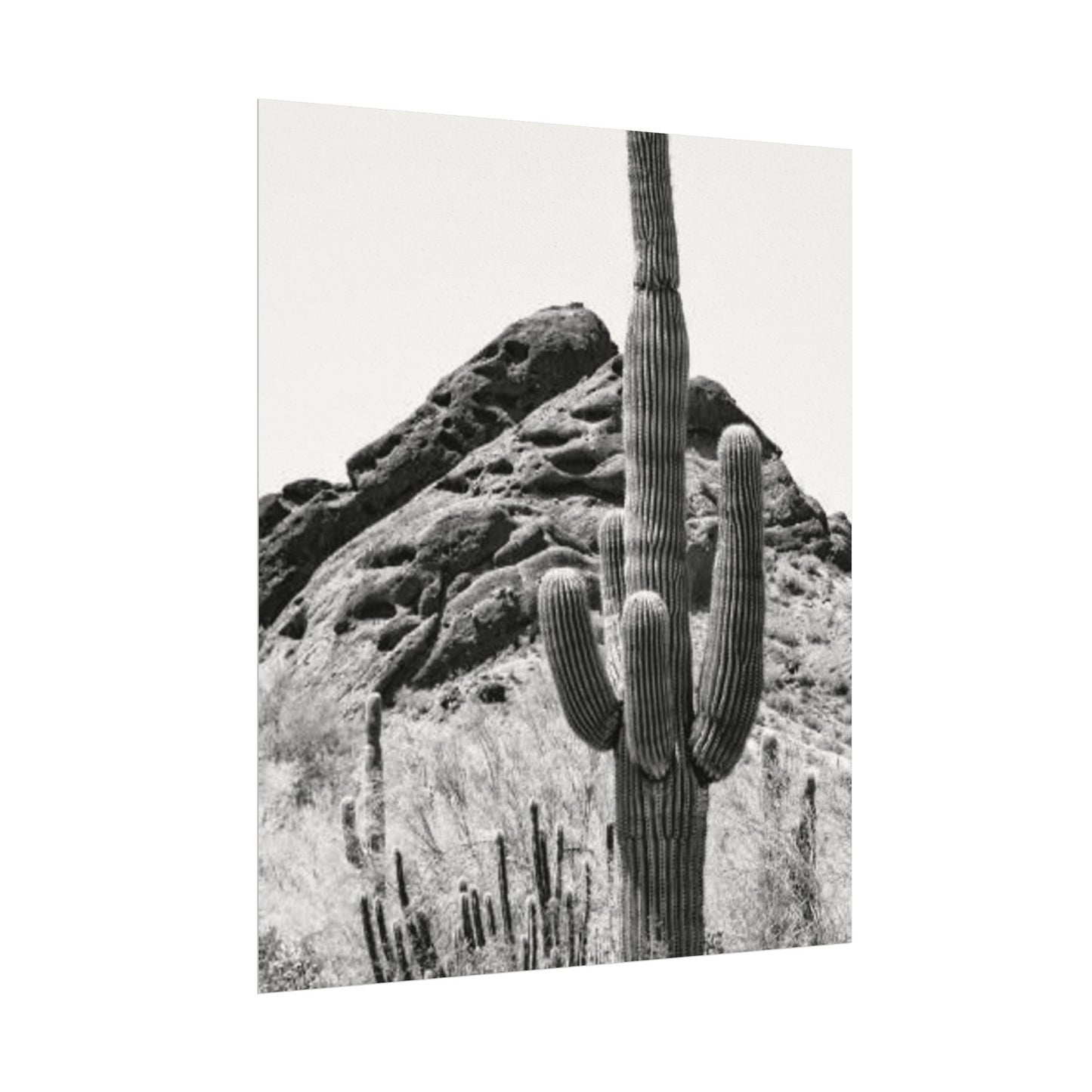 Reach For The Sky – Western Textured Watercolor Matte Posters