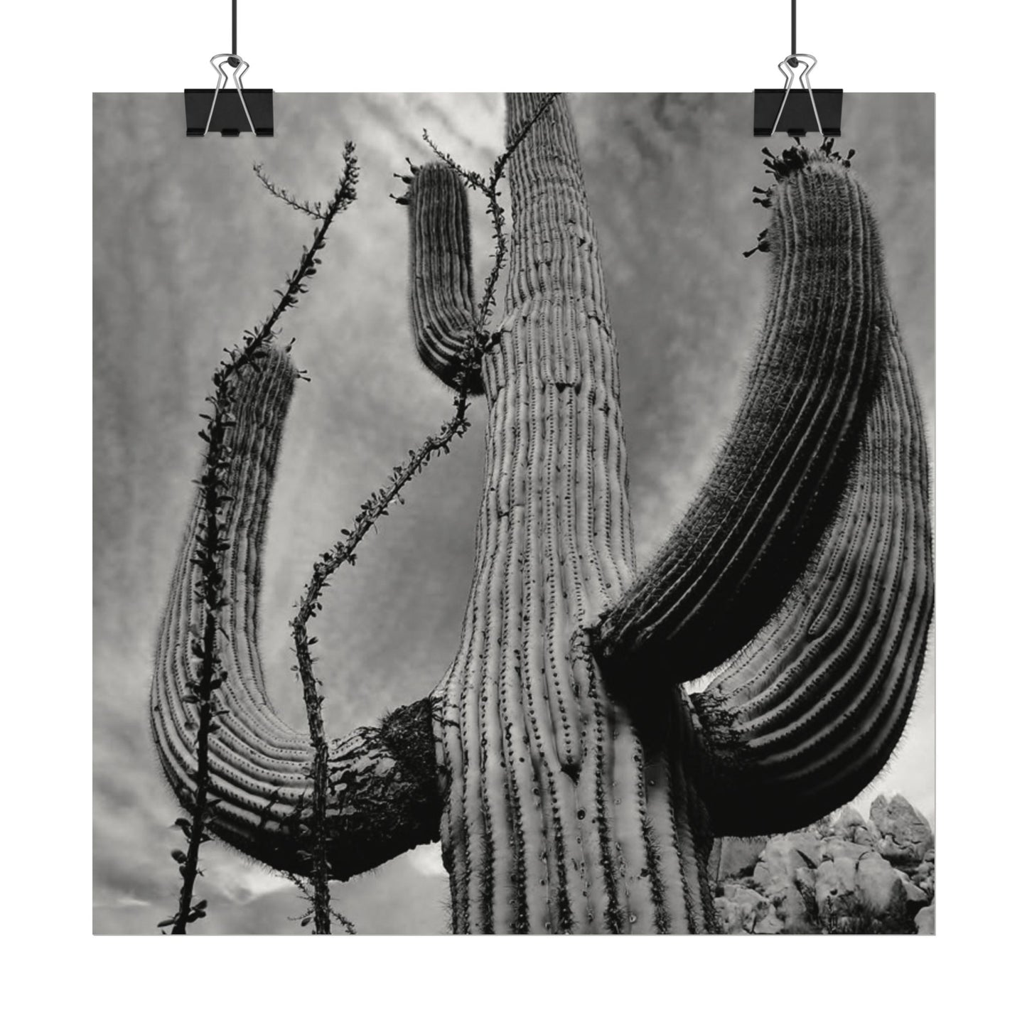 Desert Heights – Western Textured Watercolor Matte Posters