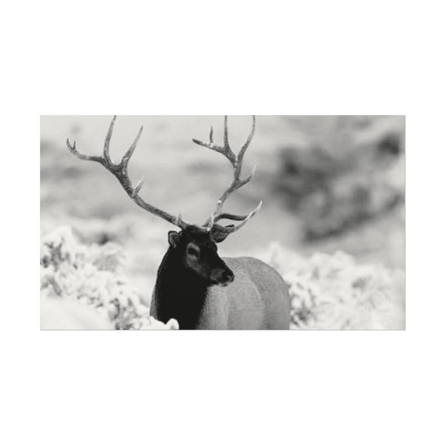 Majesty Of The North– Western Textured Watercolor Matte Posters