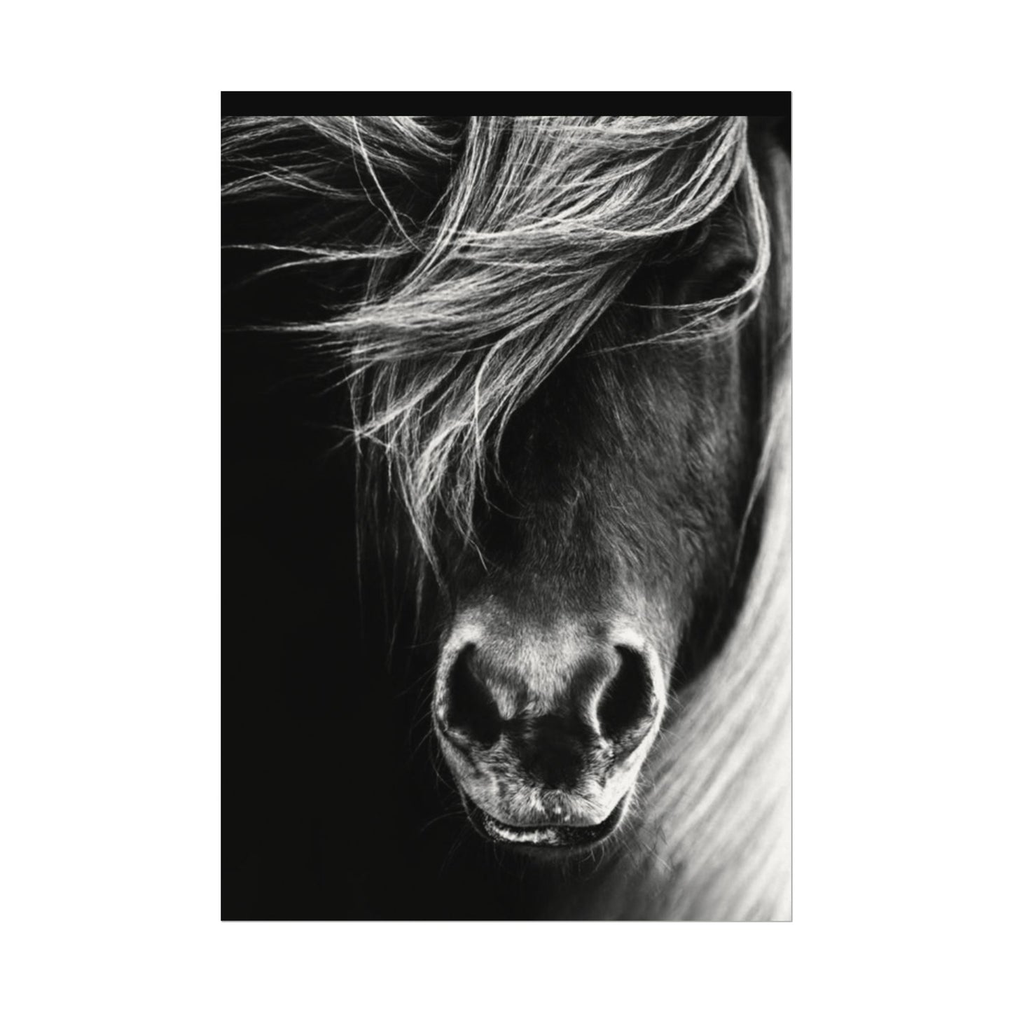 Wild Winds – Western Textured Watercolor Matte Posters