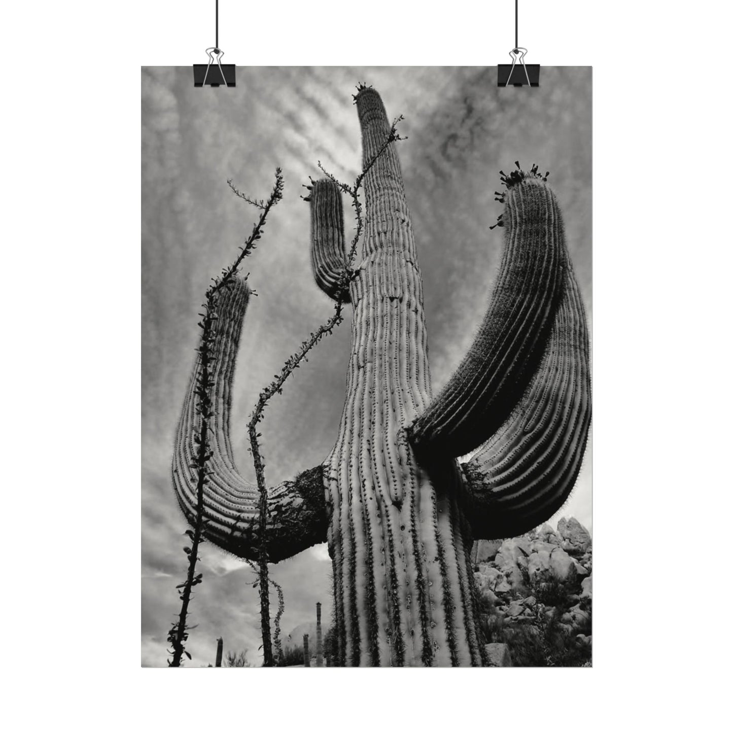 Desert Heights – Western Textured Watercolor Matte Posters