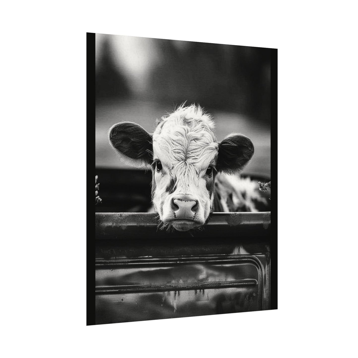 Back Seat Bovine – Western Textured Watercolor Matte Posters