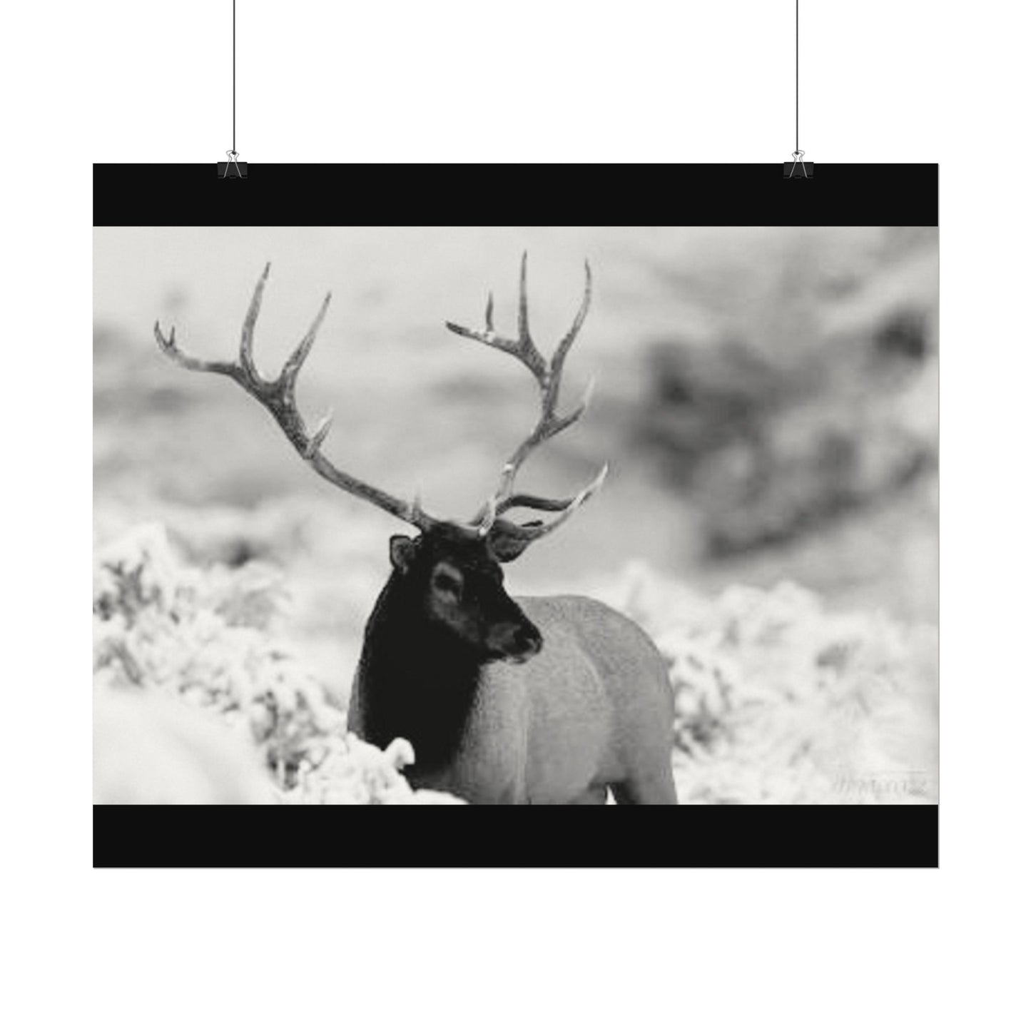 Majesty Of The North– Western Textured Watercolor Matte Posters