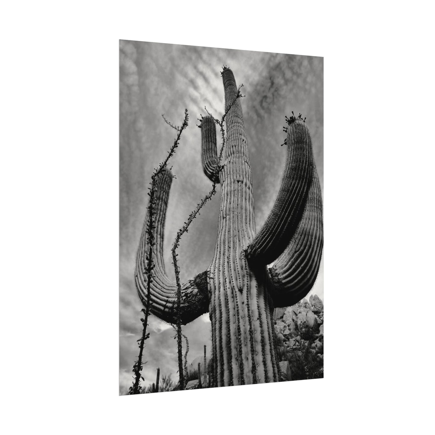 Desert Heights – Western Textured Watercolor Matte Posters