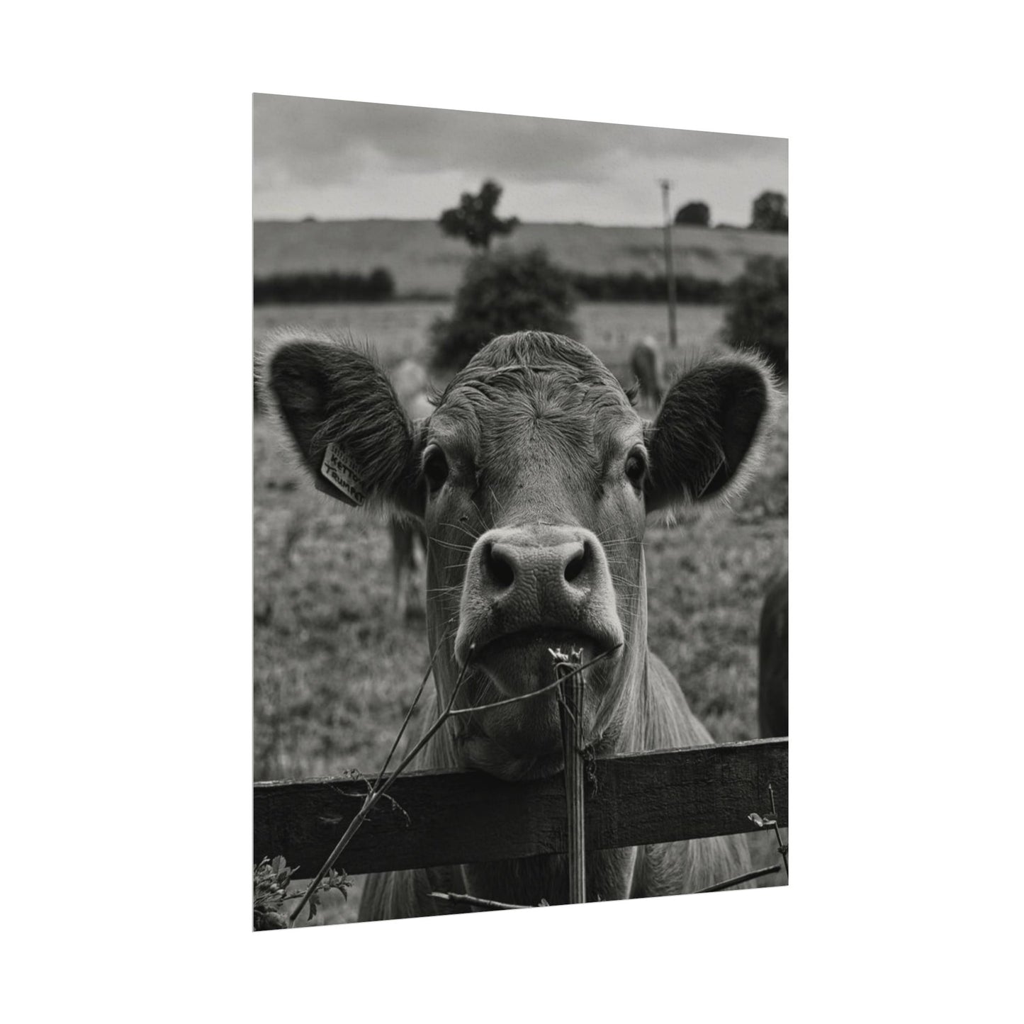 Rise & Shine – Western Textured Watercolor Matte Posters